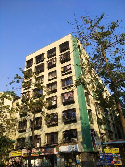 Timber Complex More Images 1