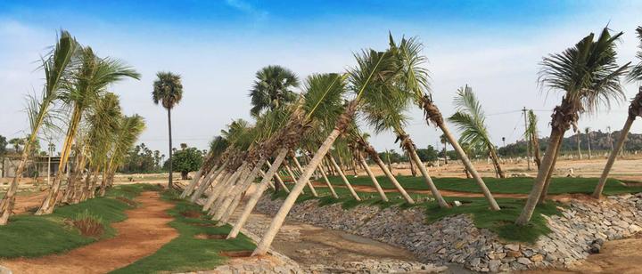 Pooja Sindhuvanam Main Image 1