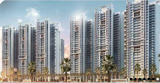 Lotus Greens Lotus Green