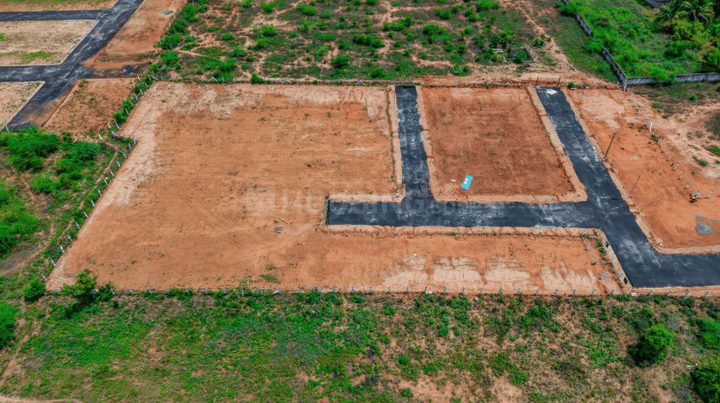 Gallery Cover Pic of M S Nagar