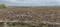 Gallery Cover Pic of Dreamland Plots In Pirko
