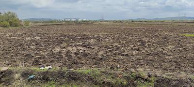 Dreamland Plots In Pirko