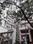 Karwa And Kewal Kiran Goregaon Janseva CHSL Wing A And B Images for Project 1