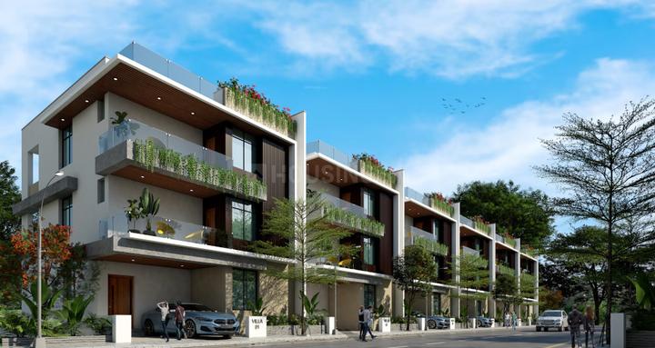 Gallery Cover Pic of Flora Hillside