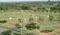 Gallery Cover Pic of Mahamumbai Plots In Dronagiri