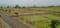 Gallery Cover Pic of Lotus Valley
