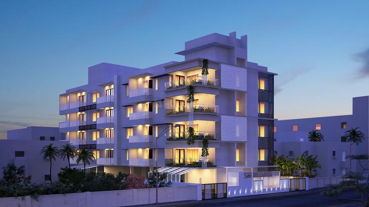 Gallery Cover Pic of Foundation Alba