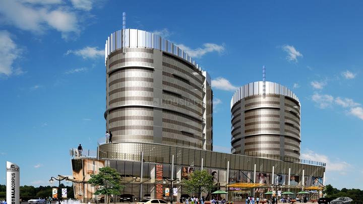 Gallery Cover Pic of Hoysala Corpus