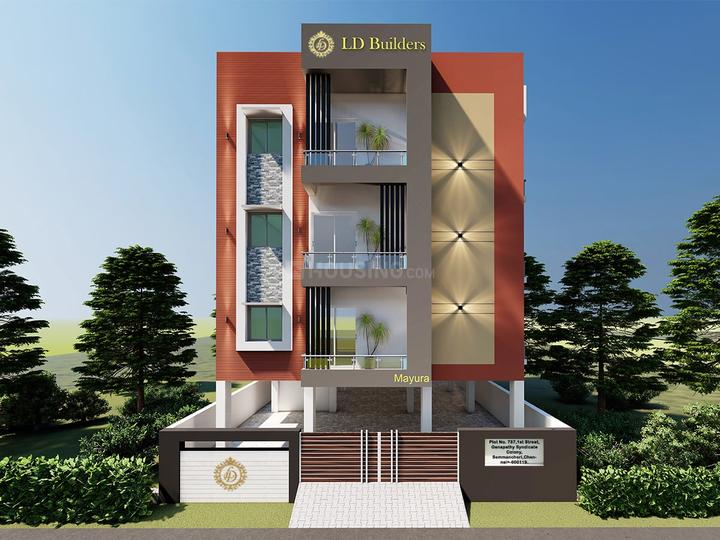 Gallery Cover Pic of LD Mayura