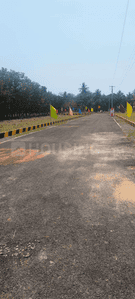 RMV Garden Project Images
