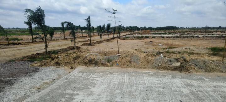 Gallery Cover Pic of Hampton Palms