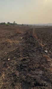 Residential Lands for Sale in Shivam Group Plots in Punade