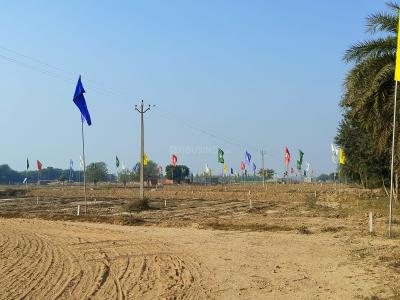 Project Image of 900 Sq.ft Residential Plot / Land for sale in Bhago Majra for Rs. 5500000
