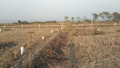 Project Image of 1089 Sq.ft Residential Plot / Land for sale in jui for Rs. 596000