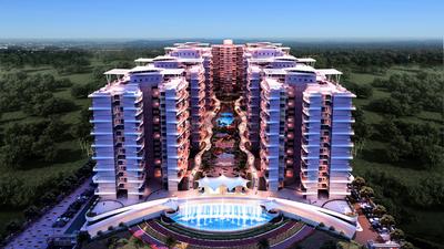 JSM Pinnacle D Dreams Project Images