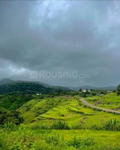 Residential Lands for Sale in Bhoomi Plots In Dhokshet