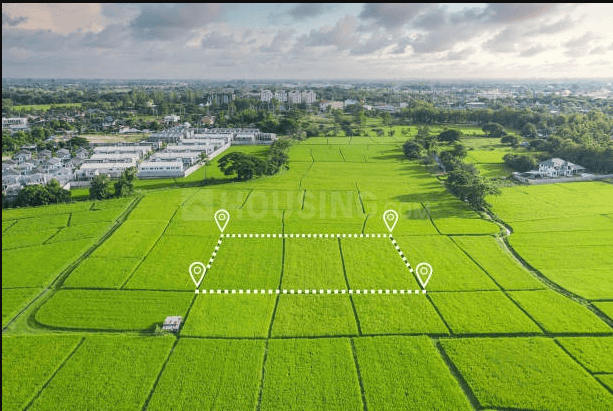 Annragh Green Earth Phase I Elevation 1