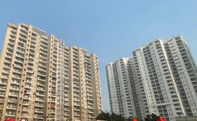 Project Image of 714 Sq.ft 1 BHK Apartment / Flat for sale in Sector 168 for Rs. 8300000