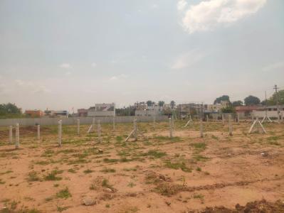 Star Nexcity Project Images