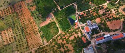 Residential Lands for Sale in Ayush Green Farms