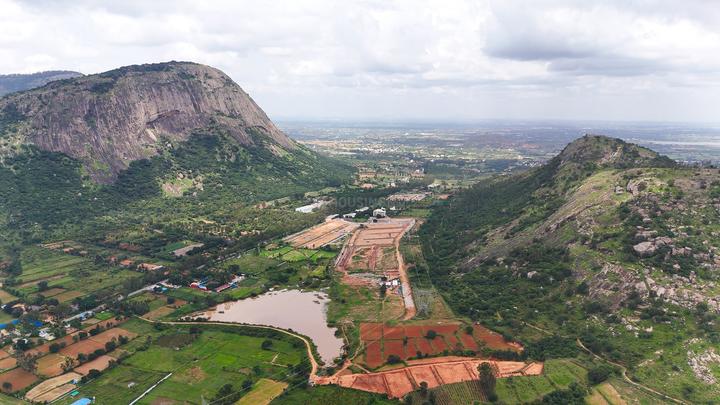 Gallery Cover Pic of DivyaSree Whispers of the Wind