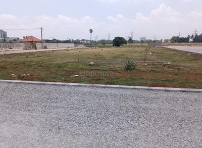 Astra MG Garden