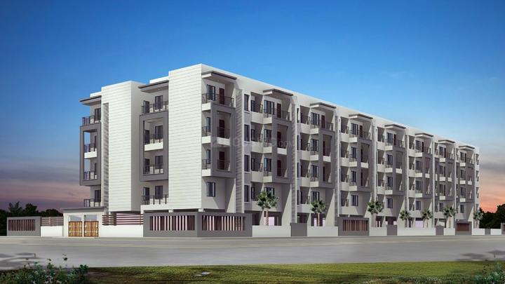 Radiant Prime Rose More Images 1