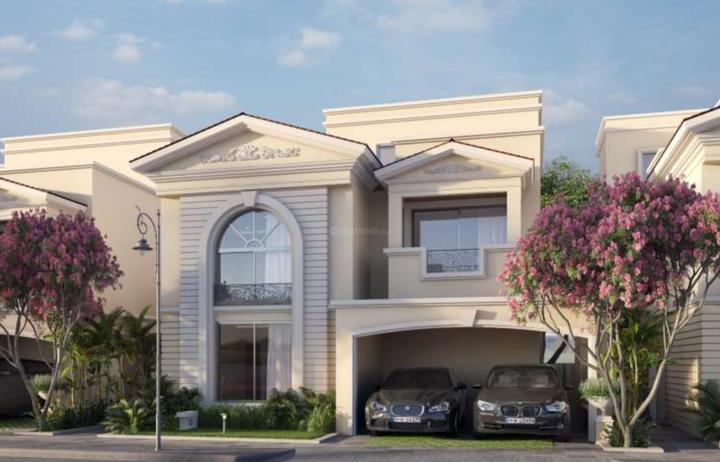 Gallery Cover Pic of JRC Palladio