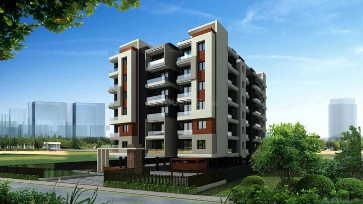 Gallery Cover Pic of AMG Orion Pride