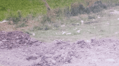 Residential Lands for Sale in Shree Vijay Vaikunth Residency
