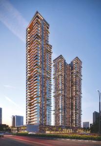 Sat Skyline Project Images