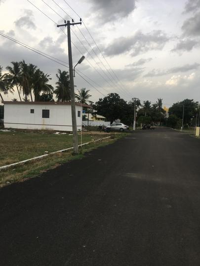 Gallery Cover Pic of MCB Blossom Rich