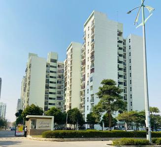 Celebrity Meadows Tower M