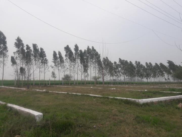 Gallery Cover Pic of  Hariyali Farms