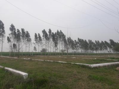  Hariyali Farms