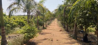 Residential Lands for Sale in City Anuttara Farms