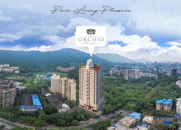 Rudani The Orchid Main Image 1