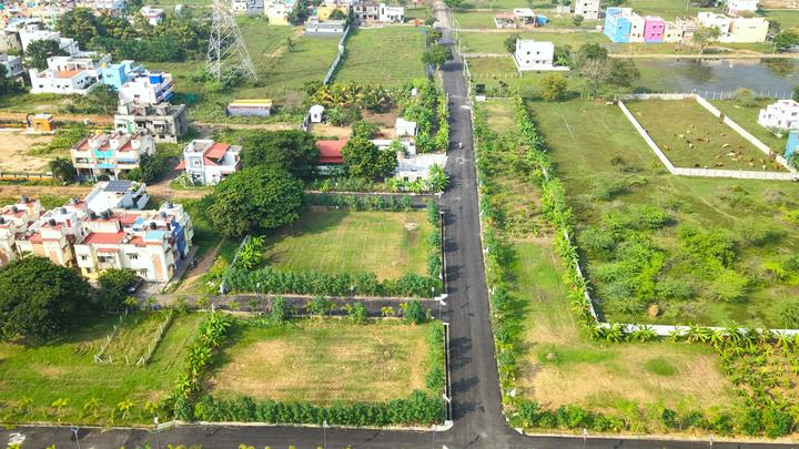 Gallery Cover Pic of Royal Platinum