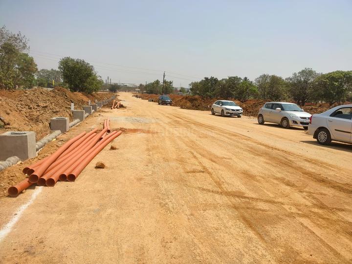 Tree Shades Main Image 1