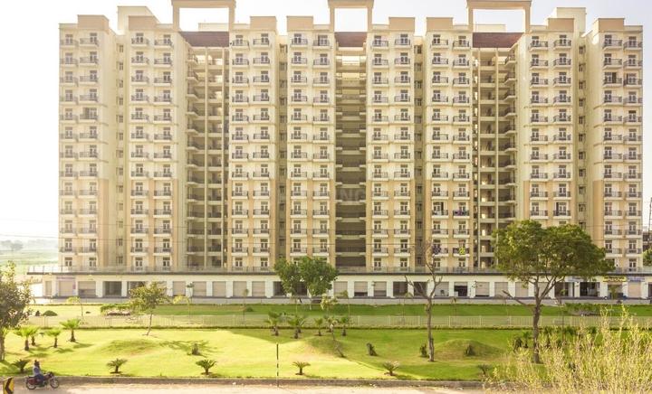 Gallery Cover Pic of Krish Icon