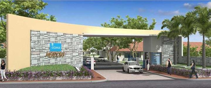 Gallery Cover Pic of Oceanus Meadows