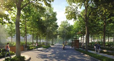 Residential Plot