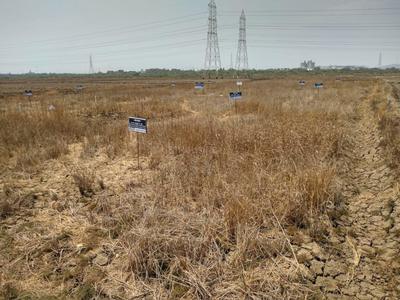 Residential Lands for Sale in Residential And Commercial Plots In Mira Bhayander Thane