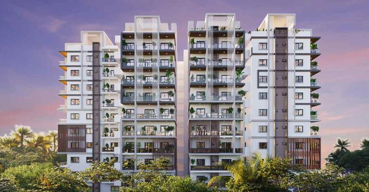 Gallery Cover Pic of Myra Leora