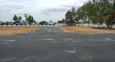 Landscapes Blossom Avenue Project Images