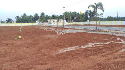 EMR Avenue 