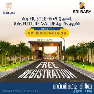 Residential Lands for Sale in Sri Baby Blue Jay