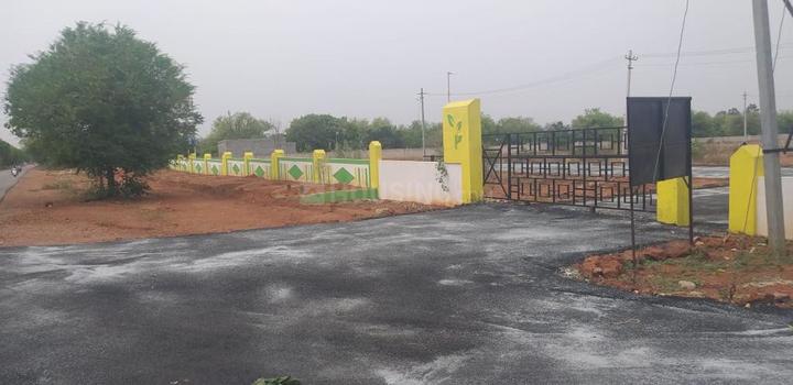 Gallery Cover Pic of Vijayalakshmi Sai Ram Orchids