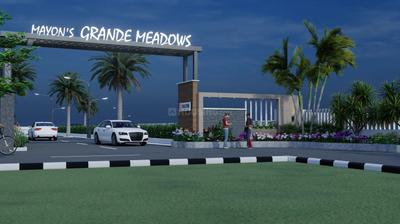 Grande Meadows Elevation 1