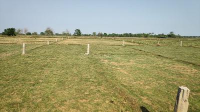 Gallery Cover Pic of Rakta SV Green City
